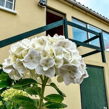 Apartament Luana House Biscoitos  Zewnętrze zdjęcie